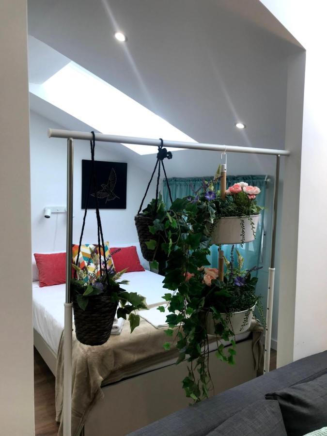 Insidehome Apartments - La Casita De Ursula Palencia Zewnętrze zdjęcie
